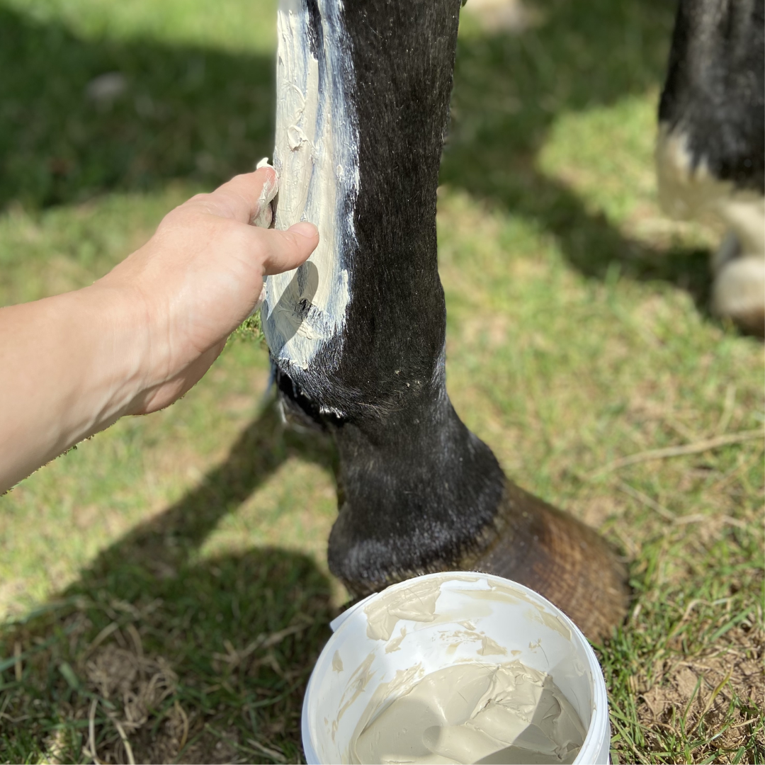 Horse Healer by HomePets