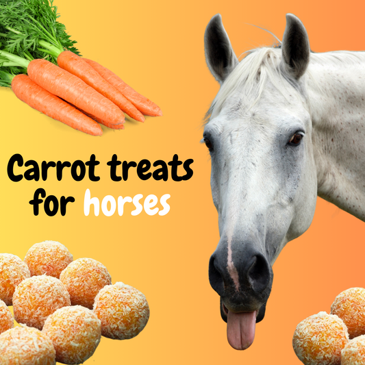 Carrot treats for horses