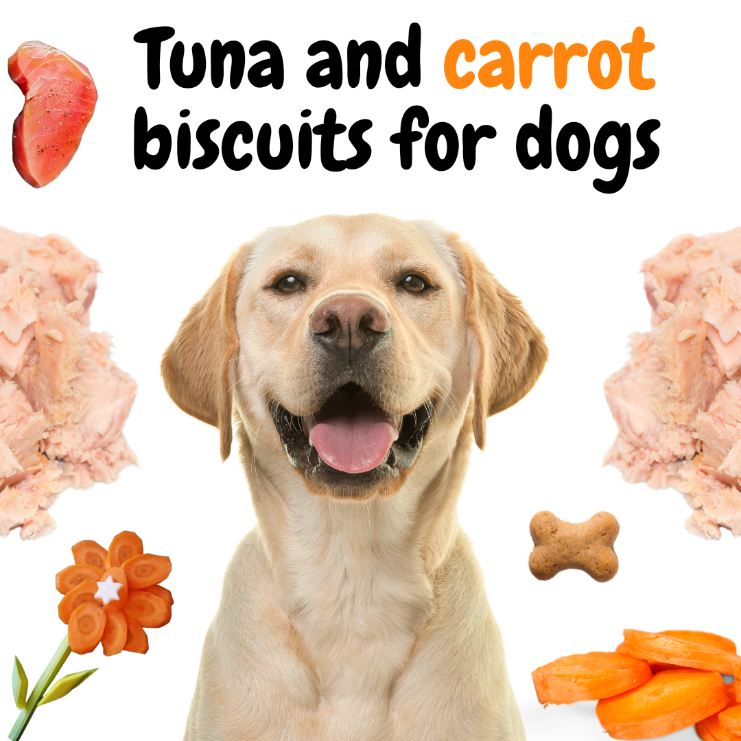Tuna and carrot biscuits for dogs – HomePets