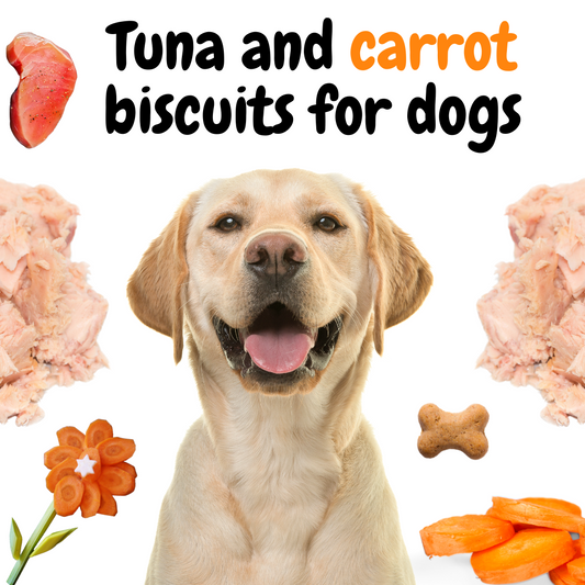 Tuna and carrot biscuits for dogs