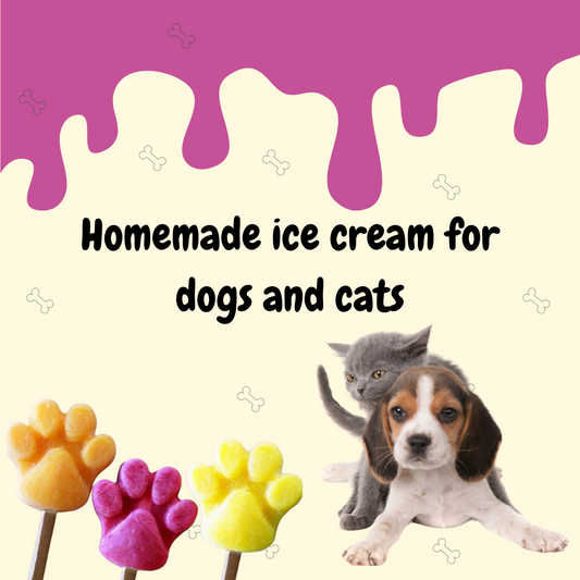 Homemade ice cream for dogs and cats