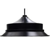 100W Solar Pendant Light for equestrian facilities