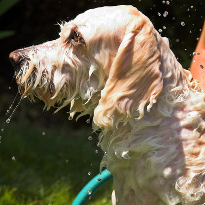 HomePets Shower Warmer