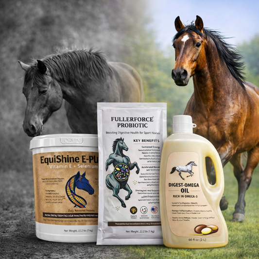 Nutrition Bundle
