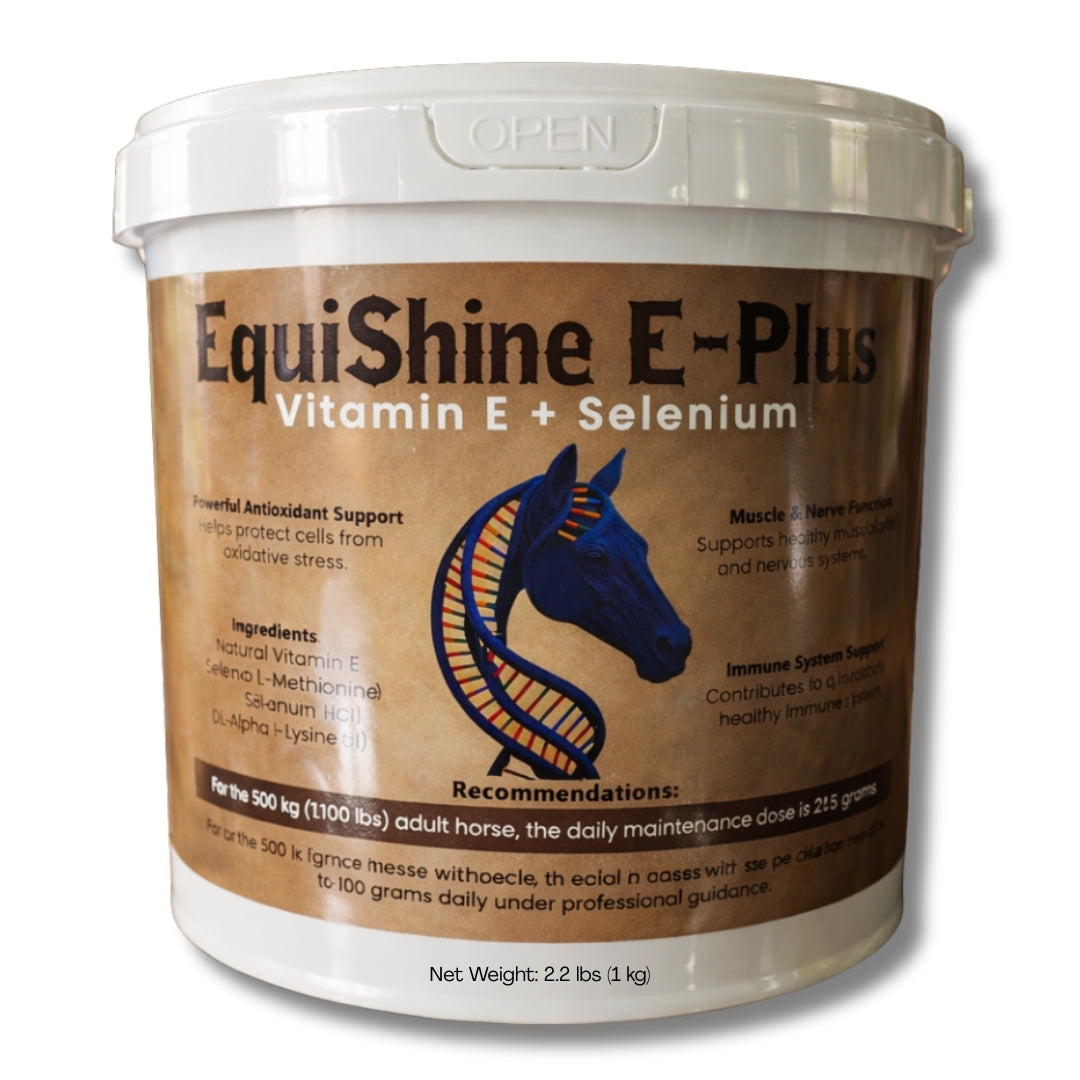 EquiShine E-Plus