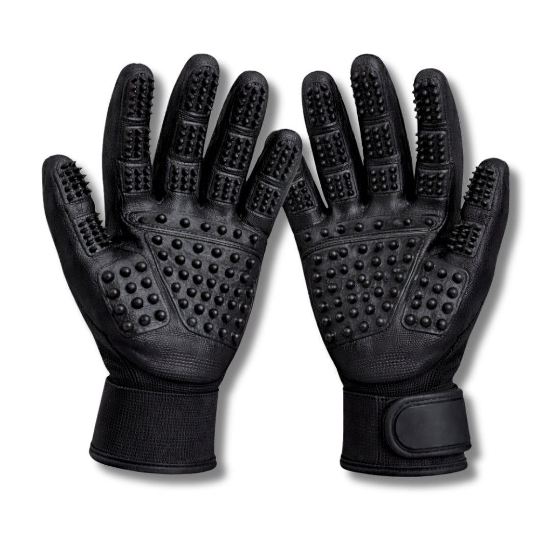 Areion Grooming Gloves