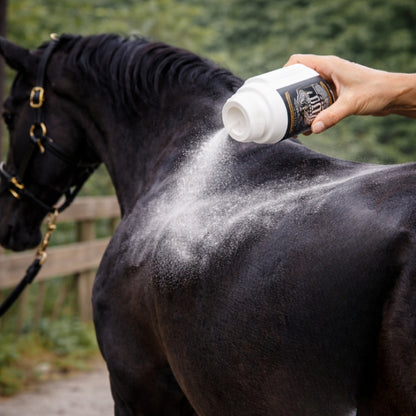 Norot Horse