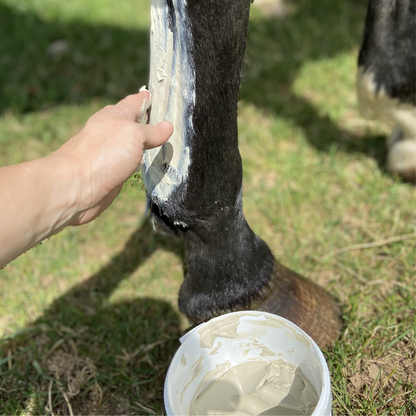 Horse Healer by HomePets